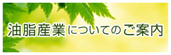 油井産業についてのご案内